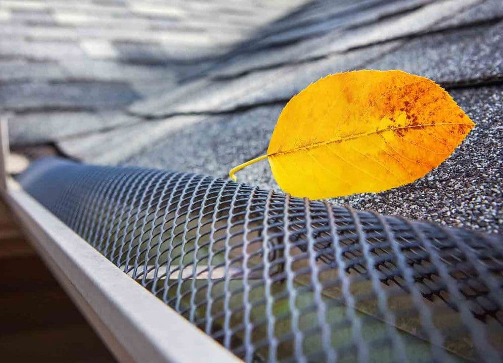 Gutter Protection